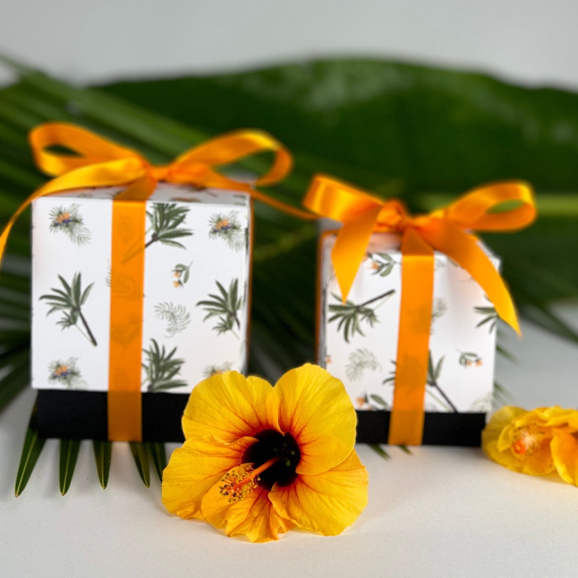 Golden orange hibiscus in foreground with medium and large Paradise Whispers product boxes featuring palm trees and bird of paradise flowers and black base tied in orange ribbon
