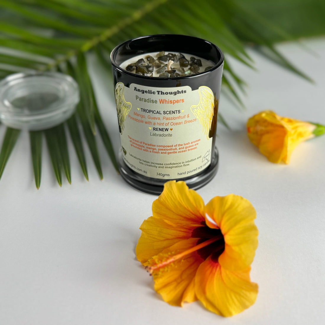 Golden orange hibiscus in foreground with Paradise Whispers Candle in black simplicity glass container with standard angelic thoughts product label
