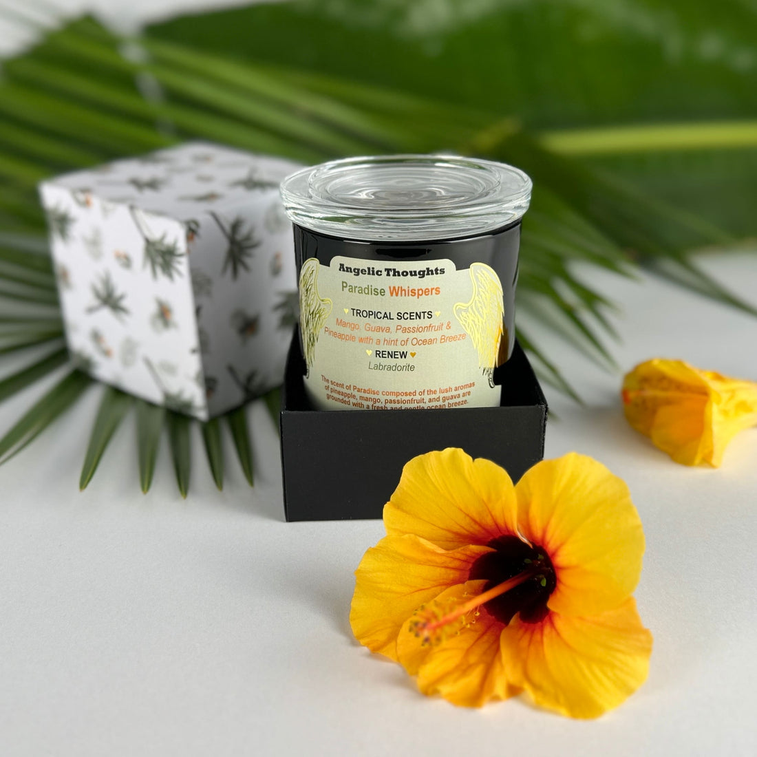 Golden orange hibiscus in foreground with Paradise Whispers candle in black base box, sitting in front of product box featuring palm trees and bird of paradise flowers