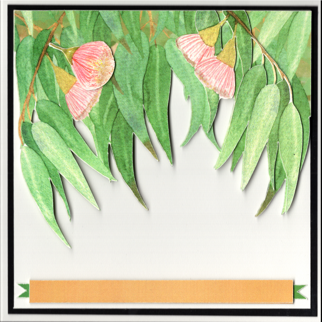 Eucalyptus Gum Blossoms Sympathy Greeting Card