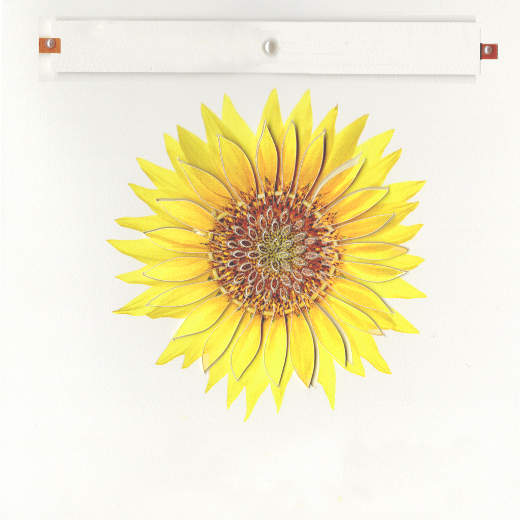 Personalised Anniversary Card with Sunflower